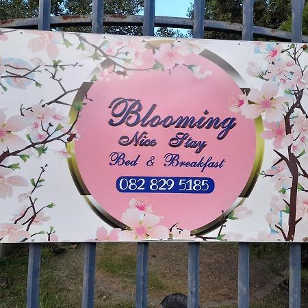Blooming Nice Stay Harrismith ภายนอก รูปภาพ